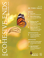 Cohesive Ends Issue II 2024
